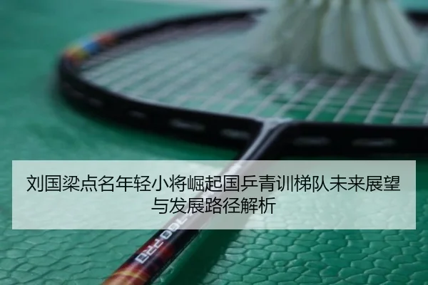 刘国梁点名年轻小将崛起国乒青训梯队未来展望与发展路径解析
